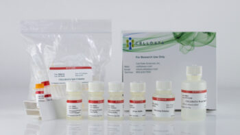 CELLDATA RNAstorm™ 2.0 FFPE RNA Extraction Kit, 50 preps