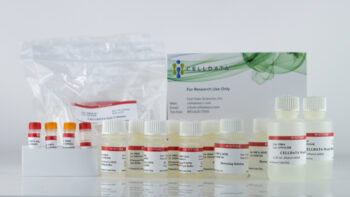 CELLDATA DNAstorm™/RNAstorm™ 2.0 Combination Kit, 50 preps