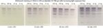 Cat_41020_Packaging