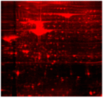 Cat_21002_21002-1_21002-2-Packaging-1