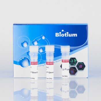 Mix-n-Stain™ Maxi CF®350 Antibody Labeling Kit, 1x1mg labeling