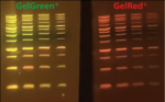 GelBrite-90degrees-light