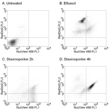 NucView® 488 and RedDot™ 2 Apoptosis & Necrosis Kit (100 assays)