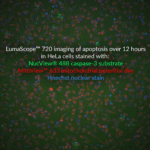 NucviewMicrovial