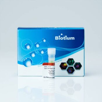 NucView® 488 Caspase-3 Substrate, 1mM in DMSO
