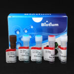 PMA-Kit-Packaging-Primer-3