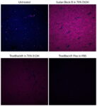 Cat_23014-T_Packaging