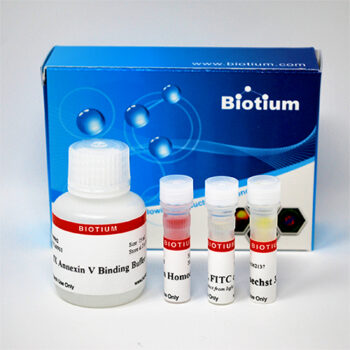 Apoptotic, Necrotic & Healthy Cells Quantification Kit (50 assays)