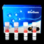 cat_30027-Packaging-1