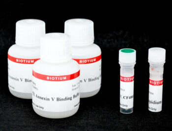 CF®488A and PI Apoptosis Assay Kit