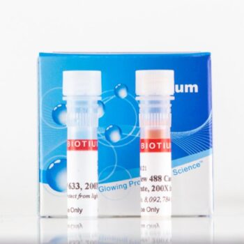 NucView® 488 and MitoView™ 633 Apoptosis Assay Kit (100 assays)