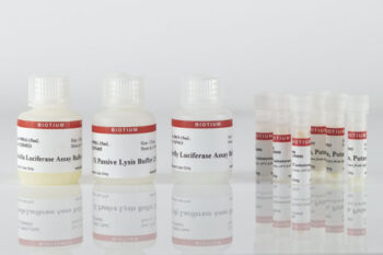 Firefly & Renilla Luciferase Single Tube Assay Kit, 150 Assays