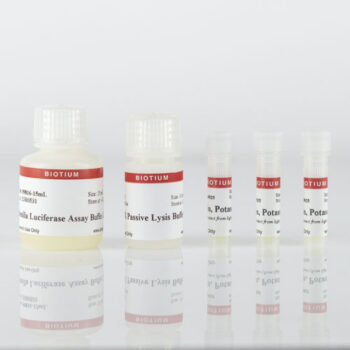 Renilla Luciferase Assay Kit 2.0, 150 Assays