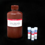 cat_31008-Packaging-1
