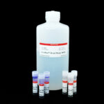 cat_31009-Packaging-1