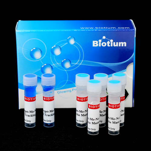 cat_31043-1-Packaging-1 cat 31043 1 Packaging 1- Immunomart