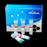 cat_31045-5ml-Packaging-1