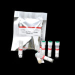 Yeast Viability Staining Kit (Green/Red)