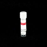 cat_31065-Packaging-1