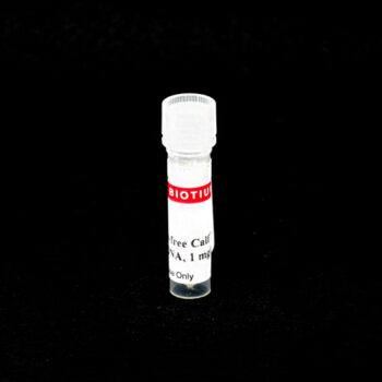 RNase-Free Calf Thymus DNA, 1 mg/mL (1 mL)