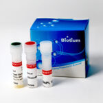 cat_32001-Packaging-1