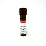 cat_40013-Packaging-1