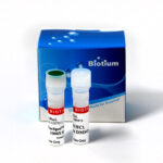 cat_40081-Packaging-1