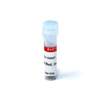 cat_40087-Packaging-1