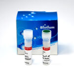 ViaFluor® 647 Live Cell Microtubule Stain
