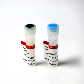 LipidSpot™ 610 Lipid Droplet Stain