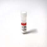 cat_70066_v2-Packaging-1