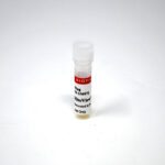 cat_70070-Packaging-1