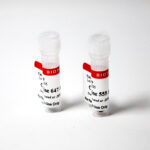 cat_96008_96009-Packaging-1