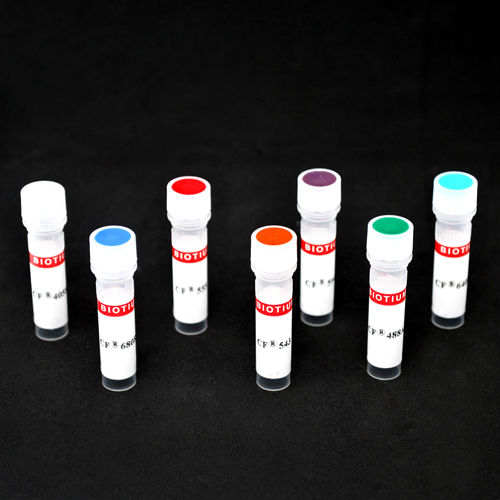 cfdyeconjugates_7group-27 cfdyeconjugates 7group 27- Immunomart