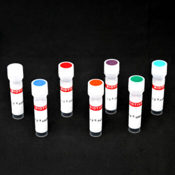 CF®350 Goat Anti-Mouse IgG1 (γ1), 2mg/mL