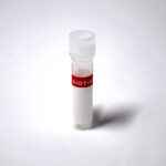 Biotium-Amber-Glass-Vial-383