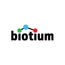 Calcineurin A / PPP3CA(BF1.1), CF640R conjugate, 0.1mg/mL