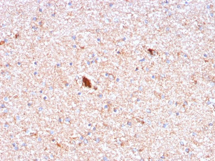 view_image-232 view image 232- Immunomart