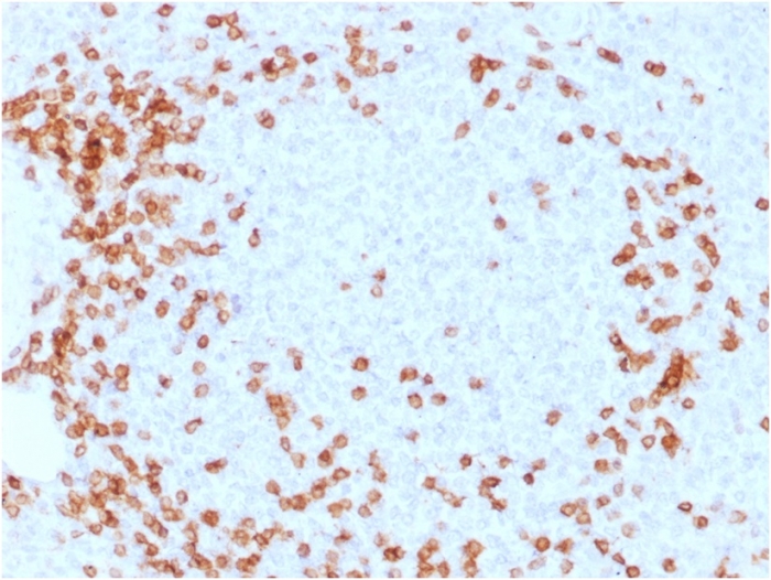 view_image-283 view image 283- Immunomart