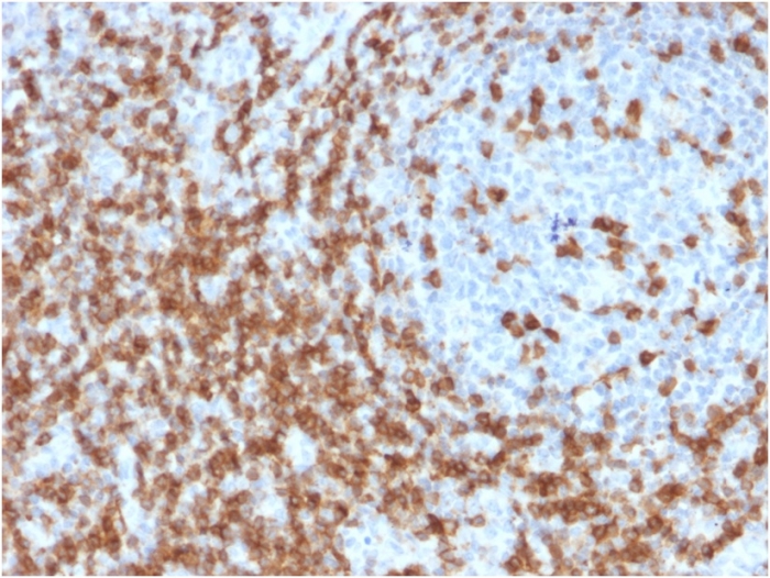 view_image-328 view image 328- Immunomart