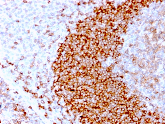 view_image-485 view image 485- Immunomart