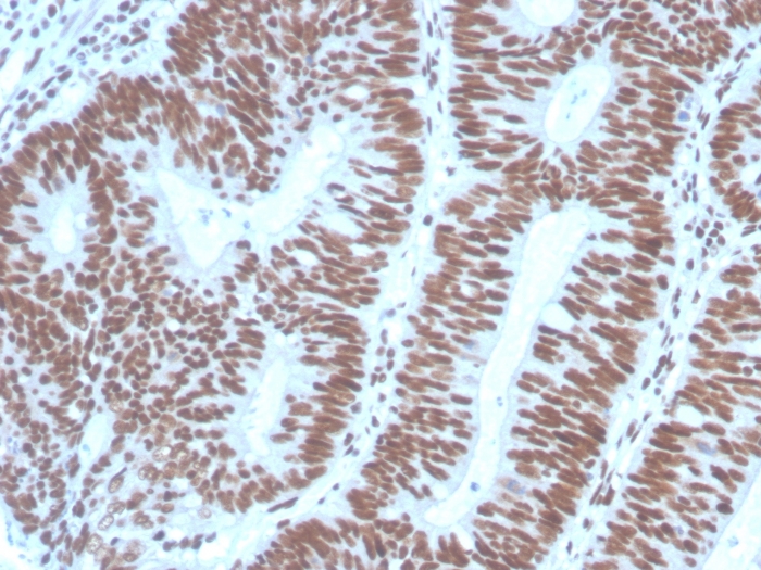 view image 657- Immunomart