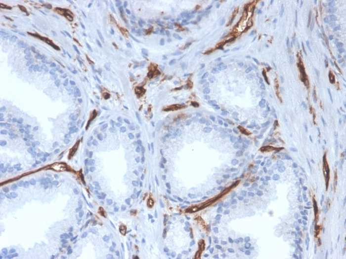 view_image-671 view image 671- Immunomart