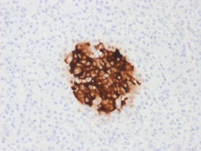 view image 759- Immunomart